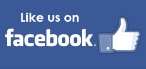 Facebook-Logo 8